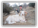 ram pic