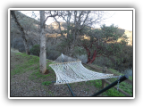 SAM_0369