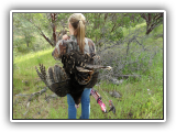 SAM_0419