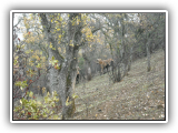 DSCN0005