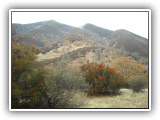 DSCN0008