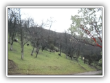 DSCN0113