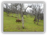 DSCN0254