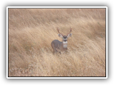 SAM_0177