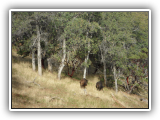 SAM_0226